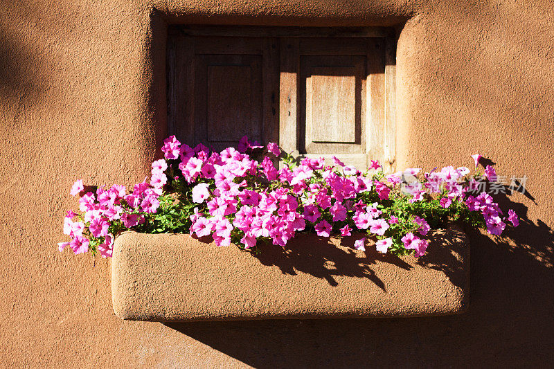 圣达菲风格:充满活力的花在Adobe Windowbox